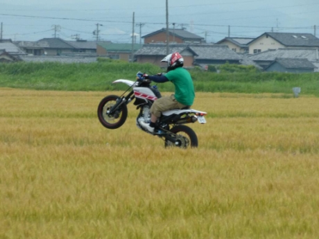 画像15